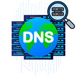 DNS Records Lookup