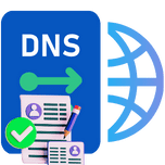 Verify DNS Records